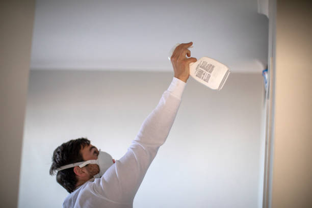 Best Mold Removal Specialists  in South Uniontown, PA