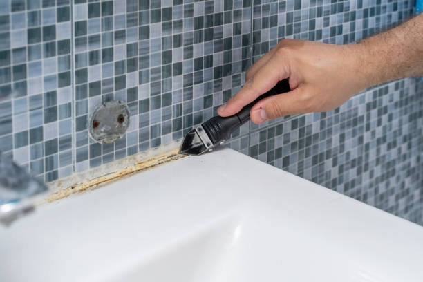 Best Home Mold Removal  in South Uniontown, PA